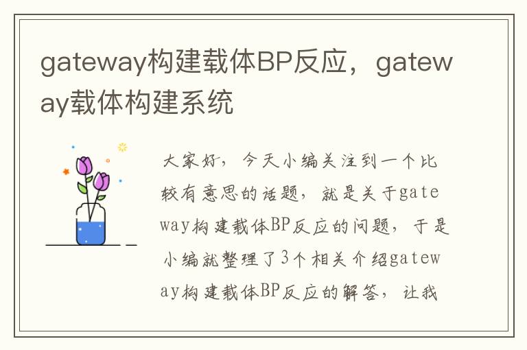 gateway构建载体BP反应，gateway载体构建系统